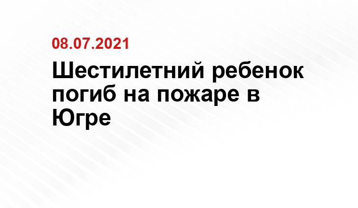 sledcom.ru